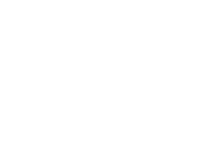 Dublin Irish Festival